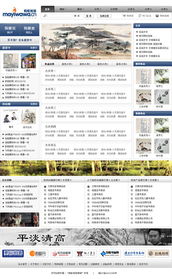 攜手共建 螞蟻娃娃電子商務網站建設方案